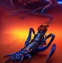 Image result for Pic of Robotic Scorpion