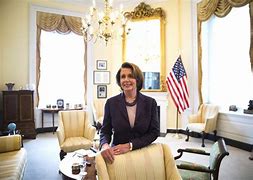 Image result for Nancy Pelosi Home Fence