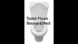 Image result for Toilet Flush Sound
