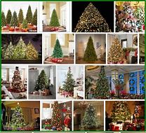 Image result for Big Lots Christmas Tree Sale
