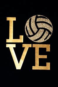 Image result for volleyball quotes
