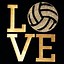 Image result for Girl Volleyball Quotes