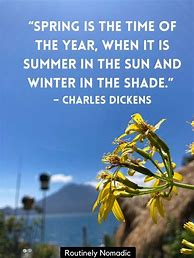 Image result for Funny Spring Sayings