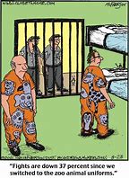 Image result for Woman in Prison Jokes