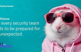 Image result for Security Team