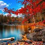 Image result for Wide Autumn Wallpaper