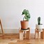 Image result for DIY Plant Stands Outdoor
