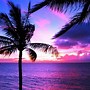 Image result for Hawaiian Wallpaper for Kindle Fire