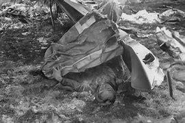 Image result for WW2 Dead