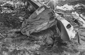 Image result for World War 2 German Dead