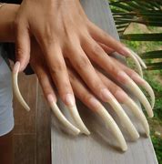 Image result for Long Nails Pictures