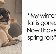 Image result for Puns About Spring