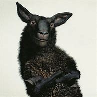 Image result for Dre's Black Sheep