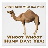 Image result for Happy Hump Day Clip Art Free