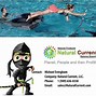 Image result for Ninja Water Shoes