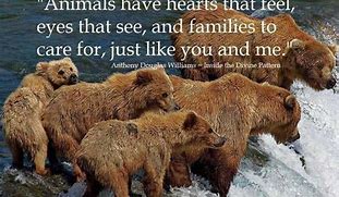 Image result for Animal Life Quotes