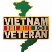 Image result for Vietnam War Ribbon