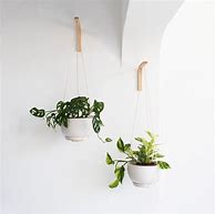 Image result for Hanging Plant Hangers Indoor