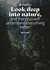 Image result for Inspiring Quotes About Nature