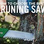 Image result for Rope Saws for Tree Trimming
