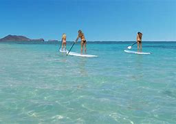 Image result for Hawaii Paddle