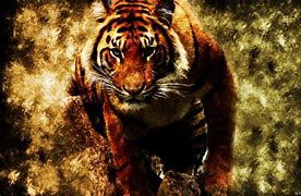 Image result for Cool Tiger Backgrounds for PC
