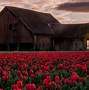 Image result for Old Country Barns Screensavers