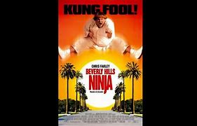 Image result for Beverly Hills Ninja Film
