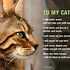 Image result for Inspiring Animal Quotes