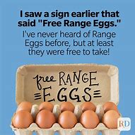 Image result for Egg Humor