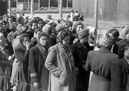 Image result for Forced Labor of Germans After World War II