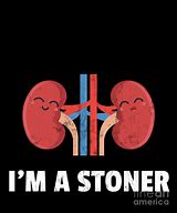 Image result for Jokes About Kidney Stone Pain
