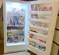 Image result for Miniature Stand Up Freezer
