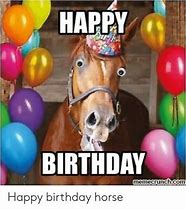 Image result for Happy Birthday Horse Funny Animals
