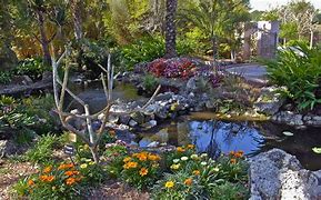 Image result for Florida Botanical Gardens