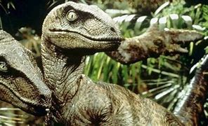 Image result for Jurassic Park Velociraptor Scene