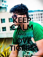 Image result for Keep Calm and Love Tigers