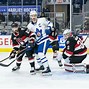 Image result for Toronto Marlies Roster