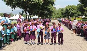 Image result for Turkish Maarif School Zanzibar