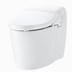 Image result for Toilet and Bidet Combo