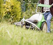 Image result for Lawn Mowing Service