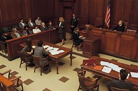 Image result for Court Lawyer and Roles