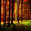 Image result for Autumn Woods Desktop Wallpaper