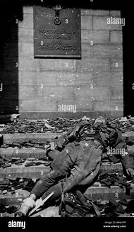 Image result for WWII German Dead