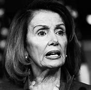 Image result for Nancy Pelosi Official Photo