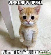 Image result for We Are Open Meme