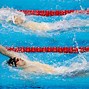 Image result for Olympic Swimming