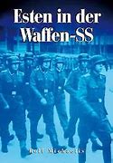 Image result for Waffen SS Combat