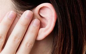 Image result for Ear Diseases