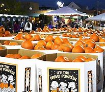 Image result for Highwood Pumpkin Fest